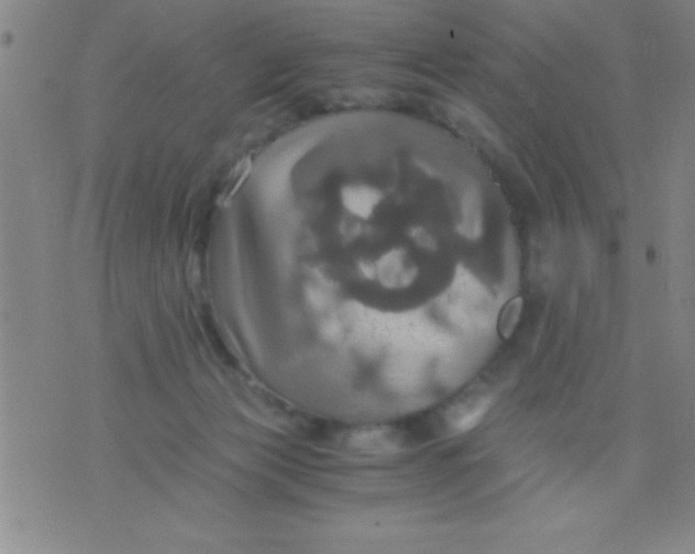 X0000075810173200610061741