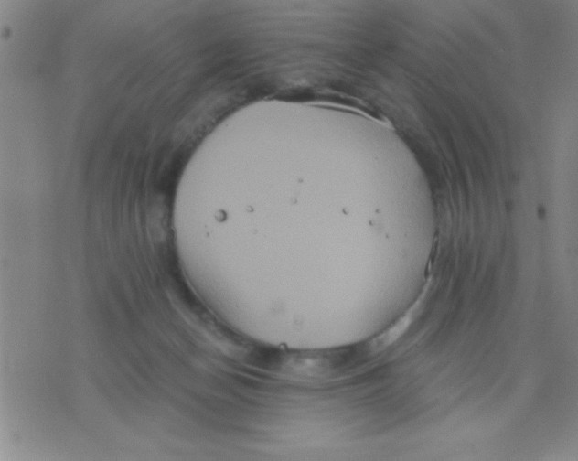 X0000075810174200610061741