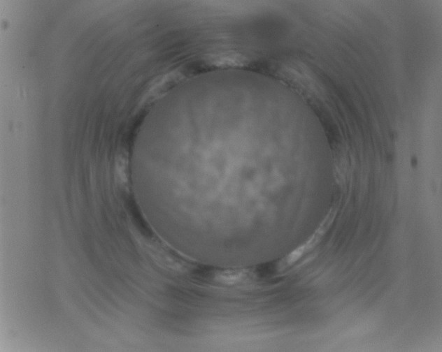 X0000075810175200610061741