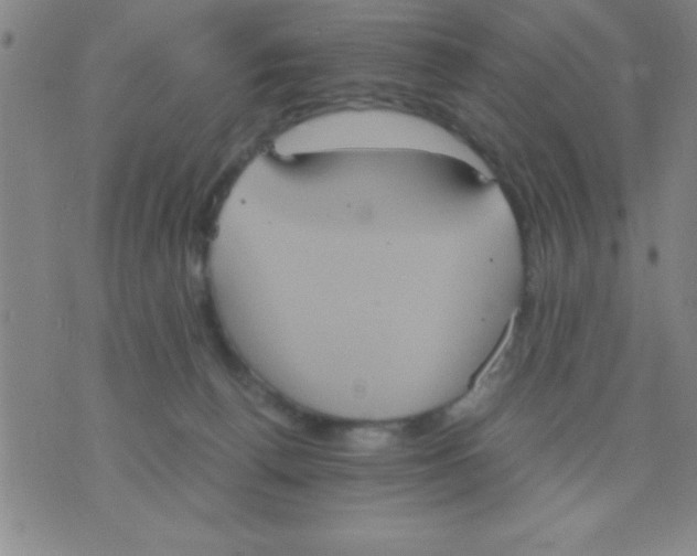 X0000075810176200610061741