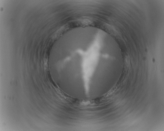 X0000075810177200610061741