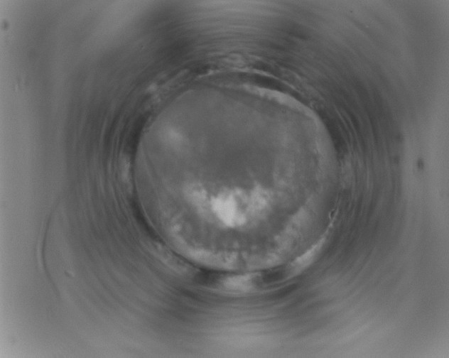 X0000075810178200610061741