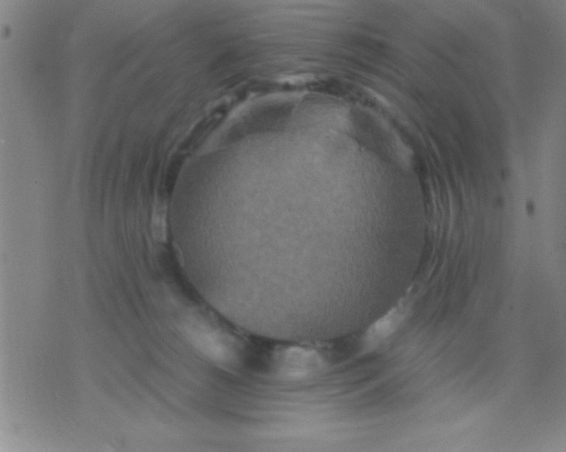 X0000075810180200610061741