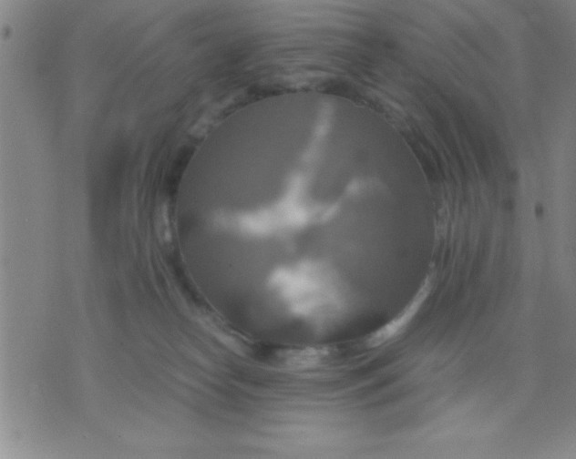 X0000075810182200610061741