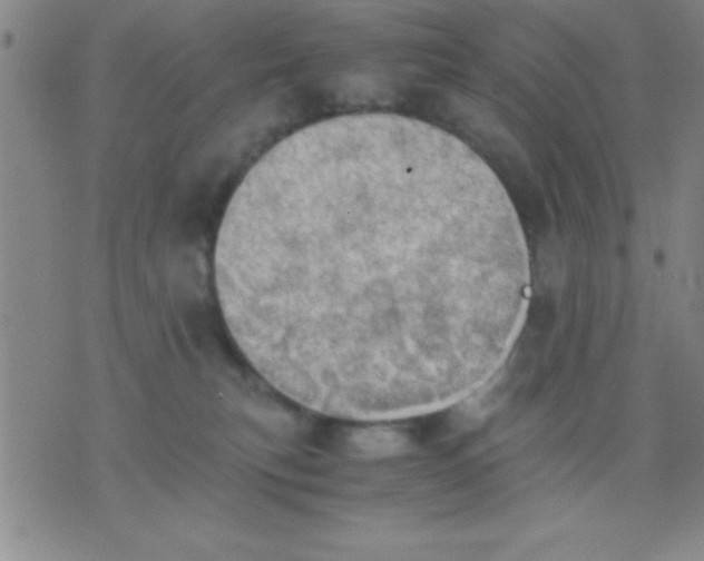 X0000075810183200610061741