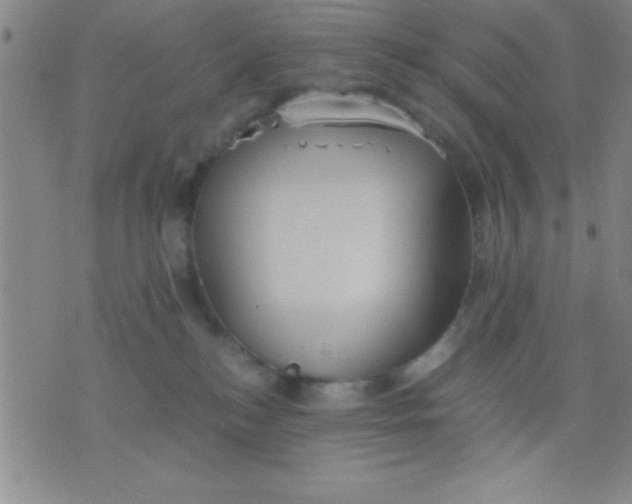 X0000075810184200610061741