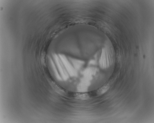 X0000075810185200610061741