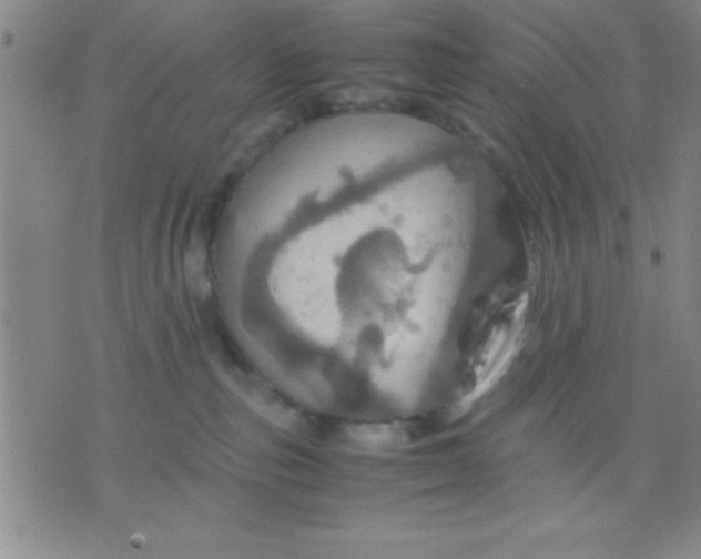 X0000075810187200610061741