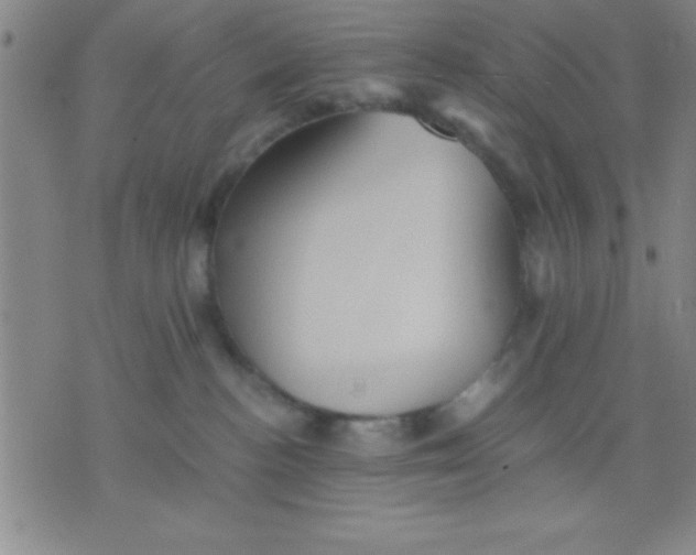 X0000075810188200610061741