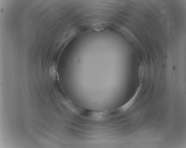 X0000075810190200610061741