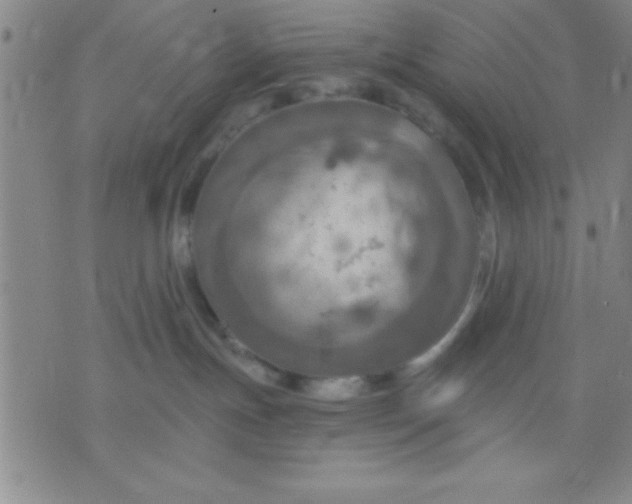 X0000075810191200610061741