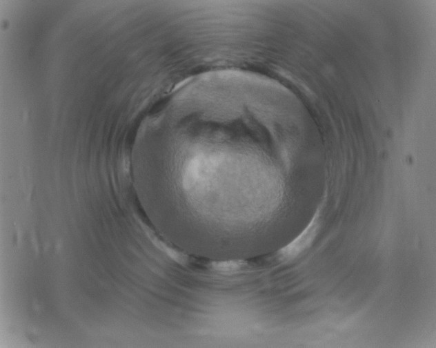 X0000075810192200610061741