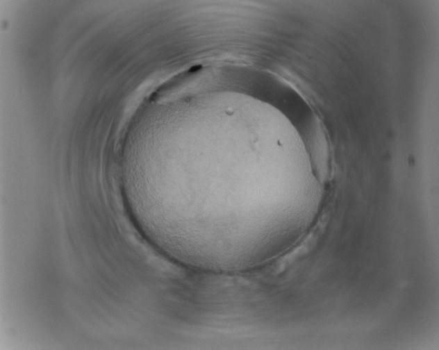 X0000075810193200610061740