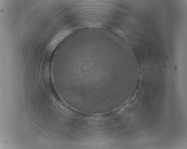 X0000075810194200610061740