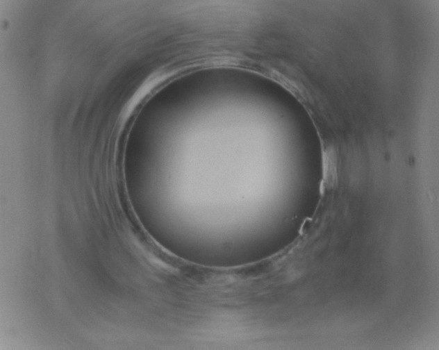 X0000075810195200610061740