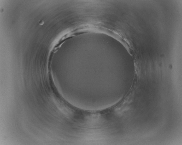 X0000075810196200610061740