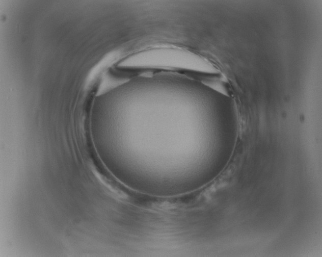 X0000075810197200610061740