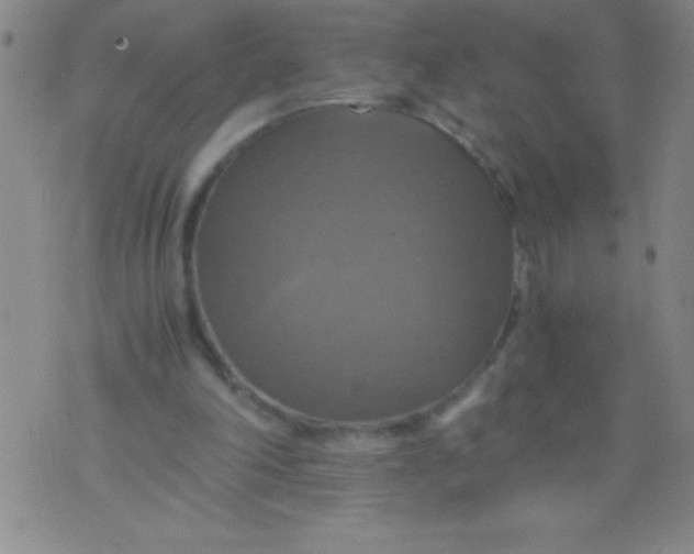 X0000075810198200610061740