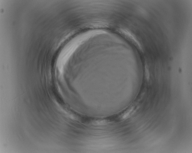 X0000075810202200610061740