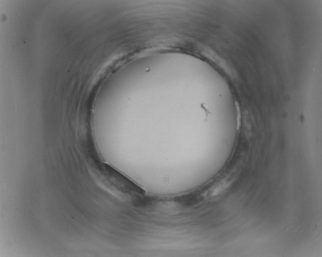 X0000075810203200610061740