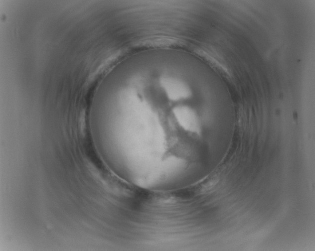 X0000075810206200610061740