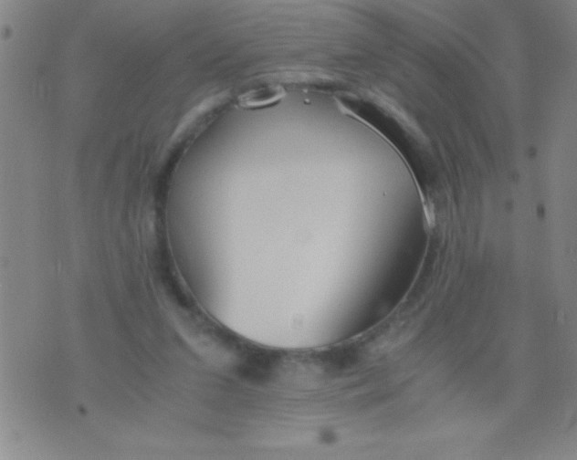 X0000075810207200610061740