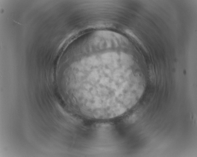 X0000075810208200610061740