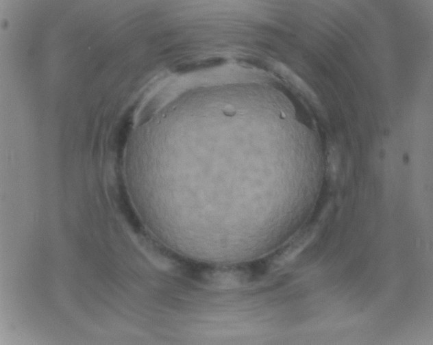 X0000075810209200610061740