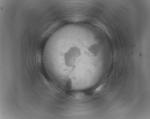 X0000075810210200610061740