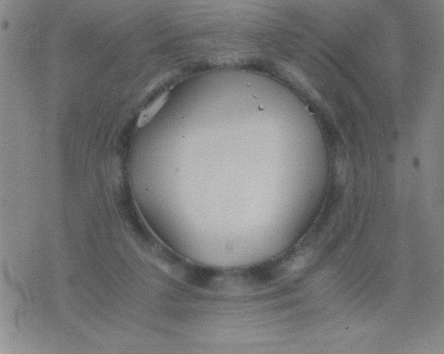 X0000075810211200610061740