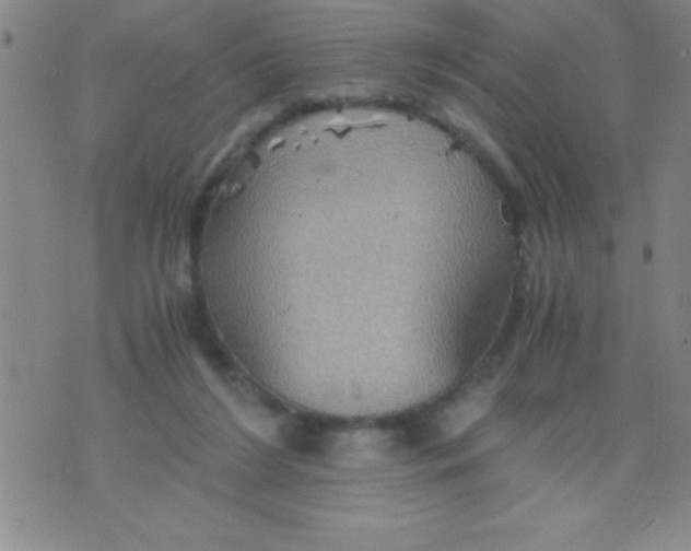 X0000075810212200610061740