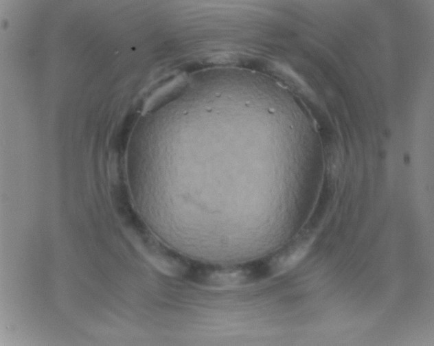 X0000075810213200610061740