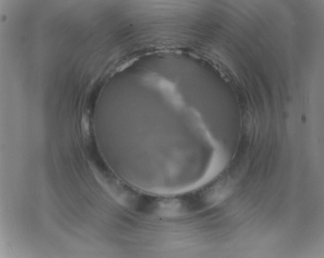 X0000075810214200610061740