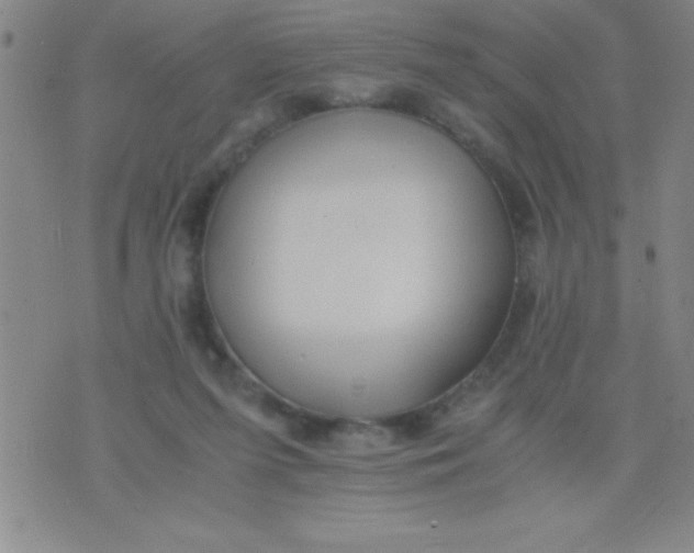 X0000075810215200610061740