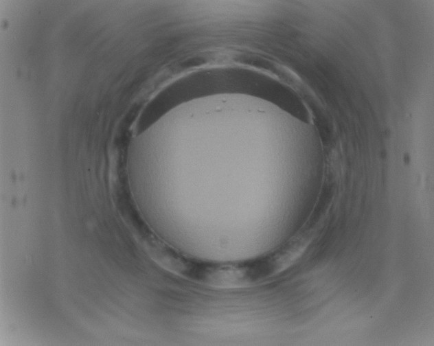 X0000075810217200610061740