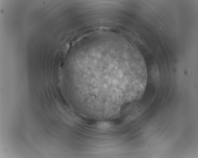 X0000075810218200610061740