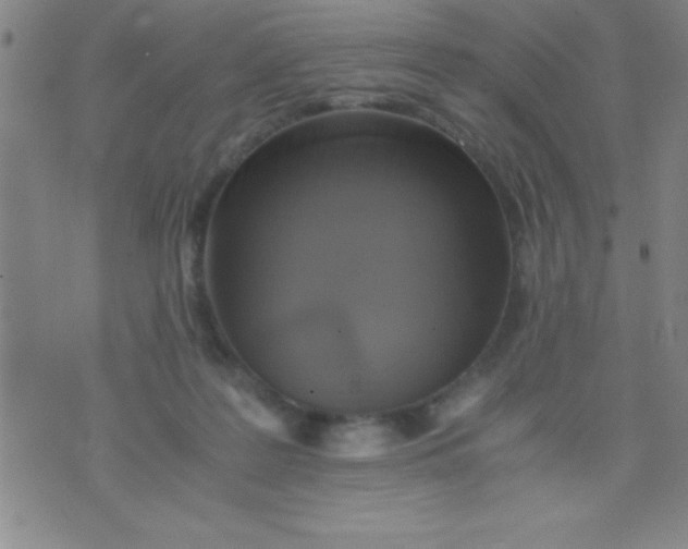 X0000075810219200610061740