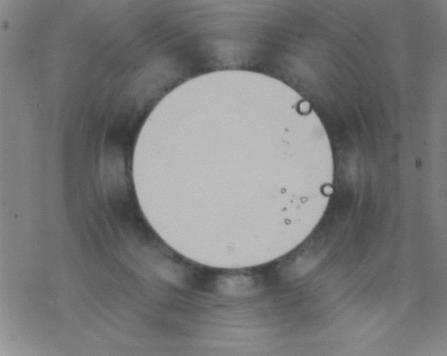 X0000075810220200610061740