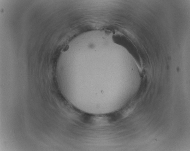 X0000075810221200610061740