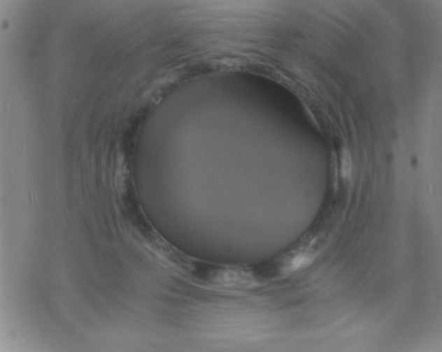 X0000075810223200610061740