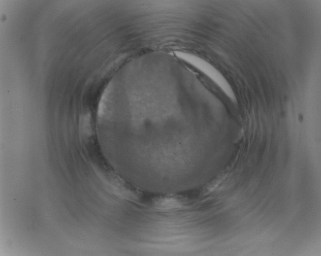 X0000075810224200610061740