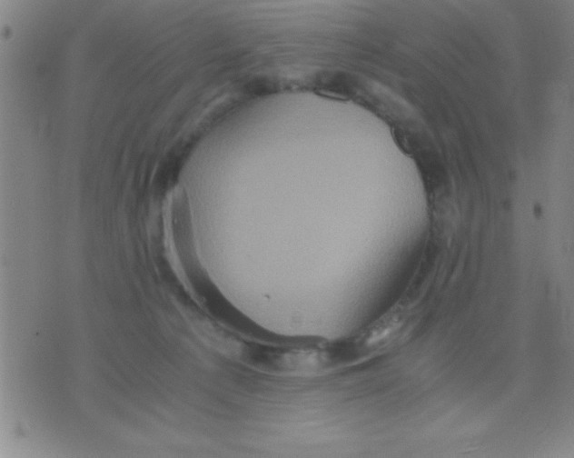 X0000075810225200610061740