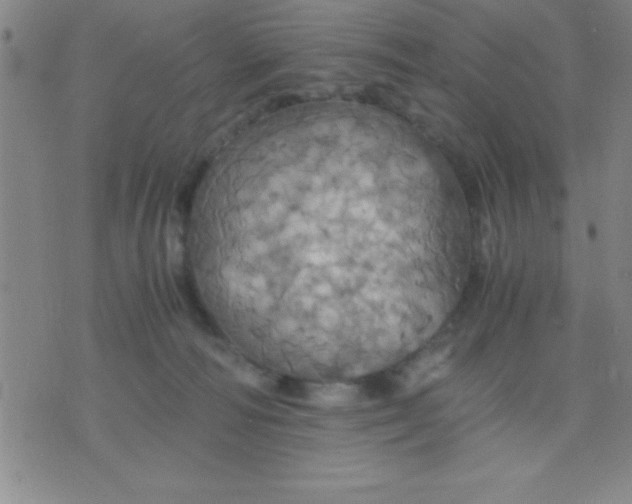 X0000075810226200610061740