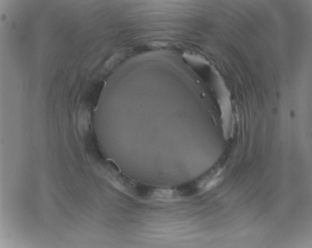 X0000075810227200610061740