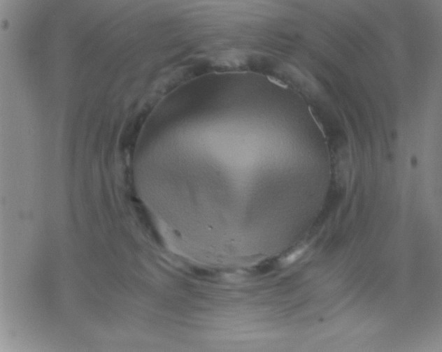 X0000075810229200610061740