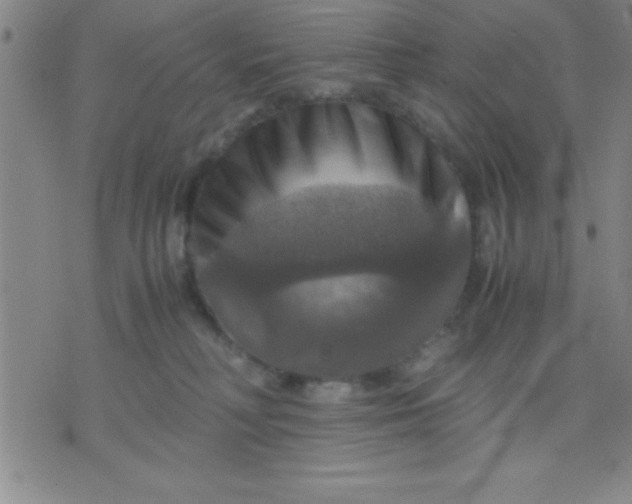 X0000075810230200610061740