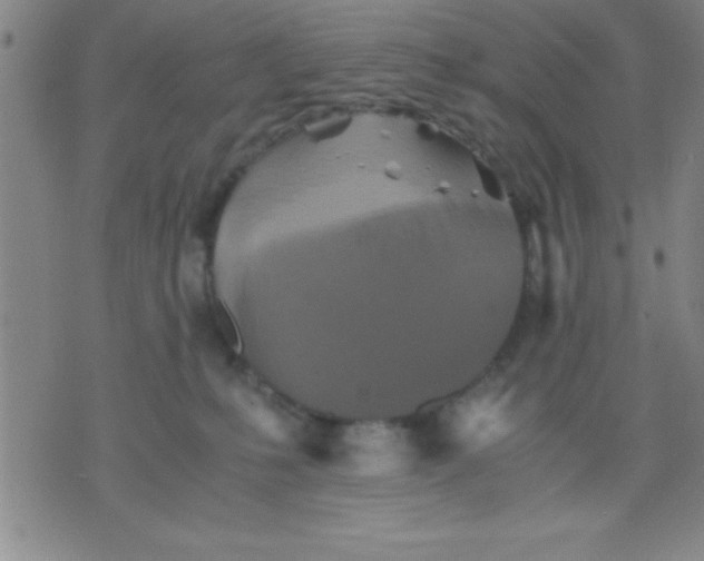 X0000075810231200610061740