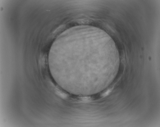 X0000075810233200610061740