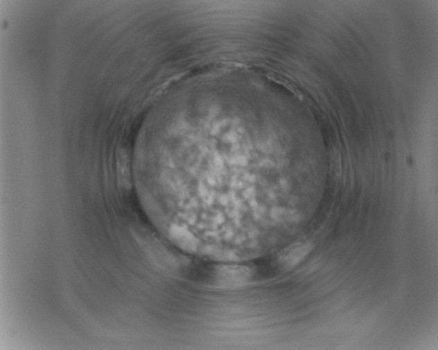 X0000075810234200610061739