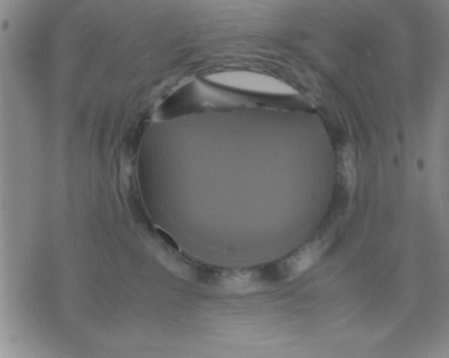 X0000075810235200610061739